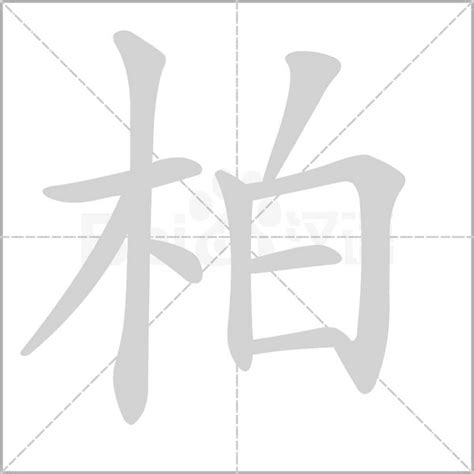 柏 同音字|柏字的解释